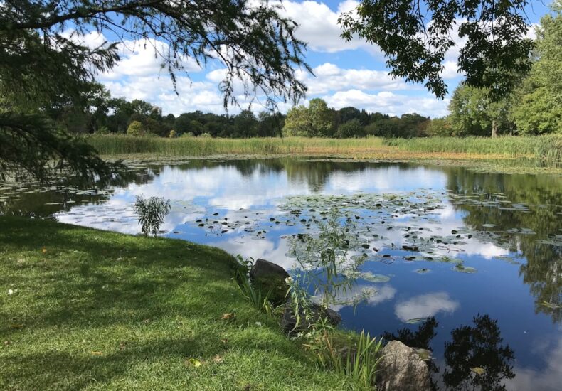 green grass field near lake under blue sky during daytime