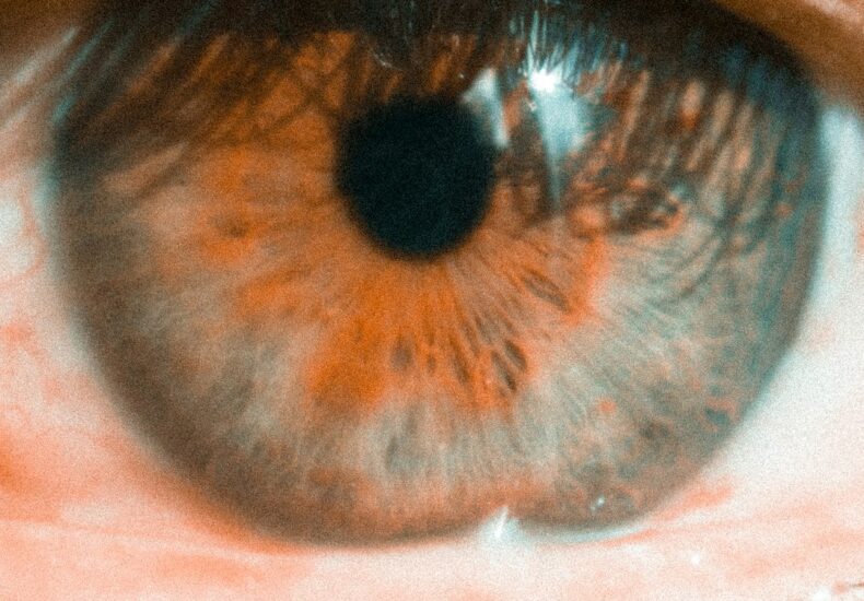 persons brown and black eye