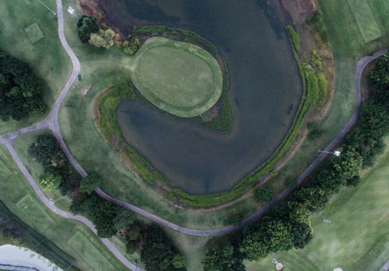 river surrounded by trees