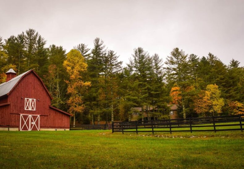 barn surrounded by trees