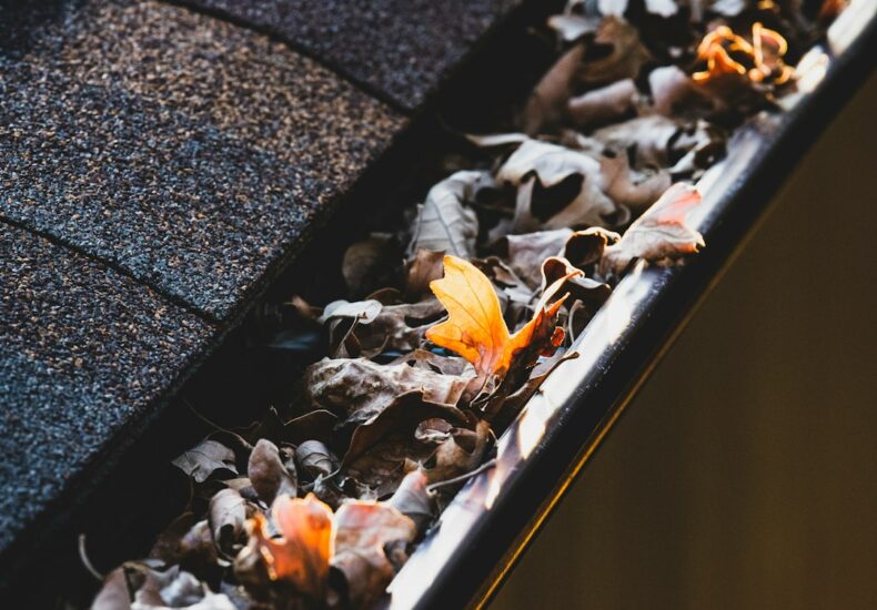 a group of bees on a wood surface