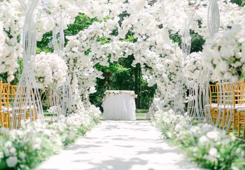 a courtyard with white flowers