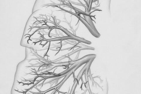 a drawing of a lung with trees on it