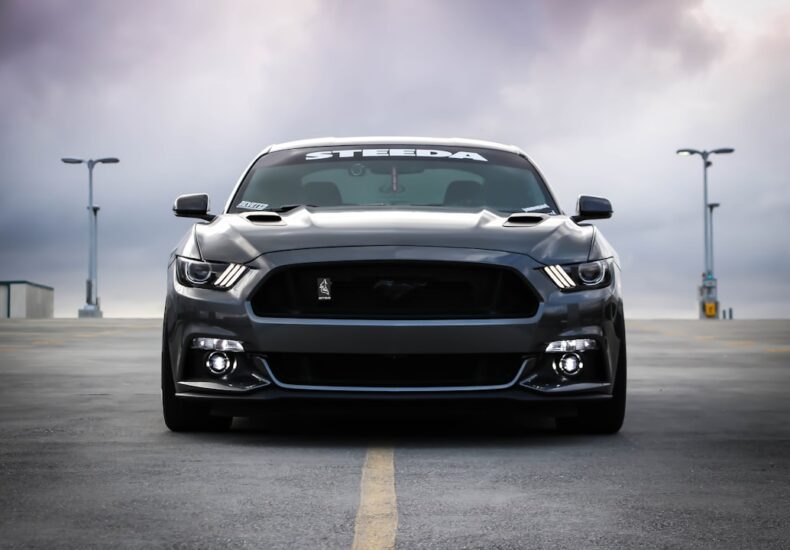 black Shelby car on road