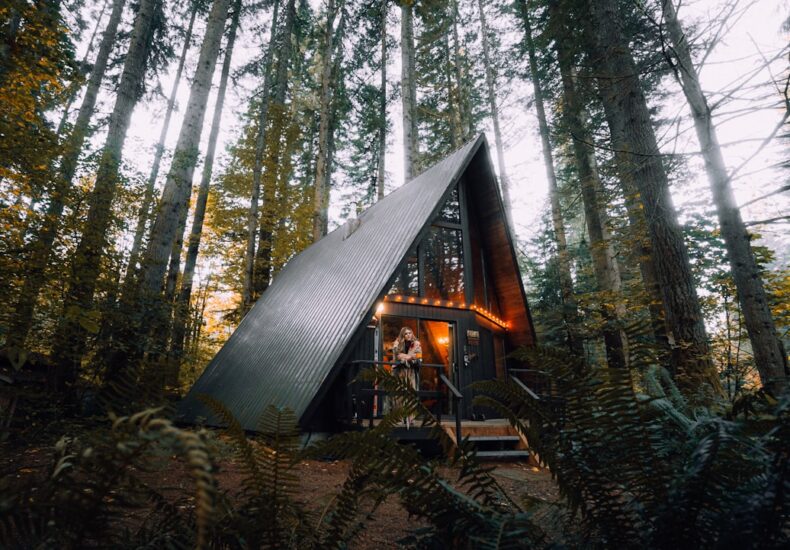 brown wooden house in the woods