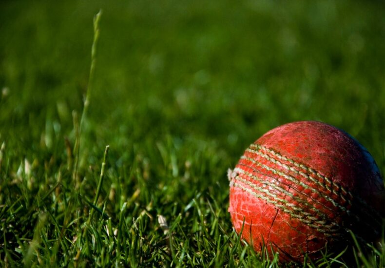 shallow focus photography of red cricket ball