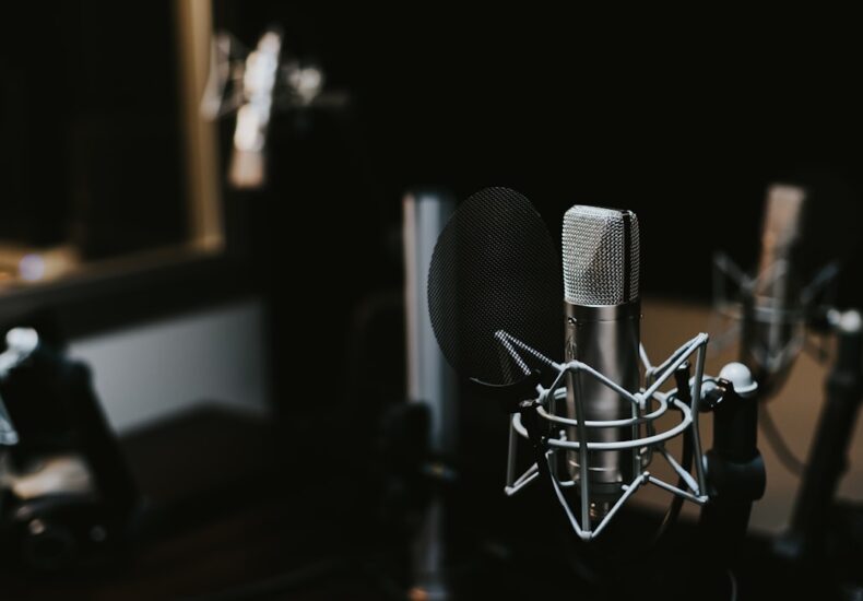 macro photography of silver and black studio microphone condenser