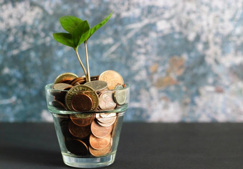 green plant in clear glass vase
